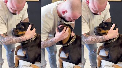 Chiropraktik pro psy