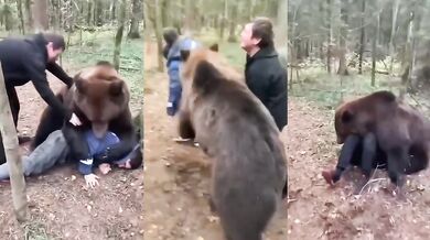 Zápasení s medvědem