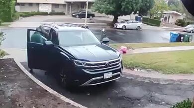 Napadení dítěte kojotem