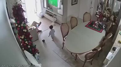 Dítě vs. vánoční stromek