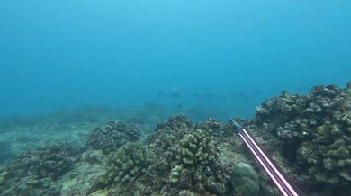 Nebezpečný podmořský rybolov