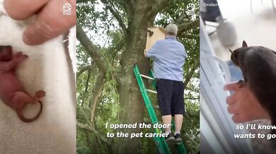 Záchrana novorozené veverky