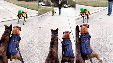 Setkání s robotickým psem