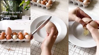 Vejce s překvapením