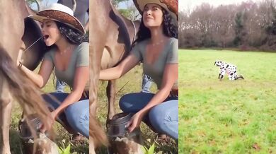 Mléko přímo ze zdroje!