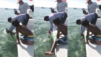 Pro dobrotu na žebrotu