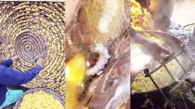 Fascinující výroba hedvábí