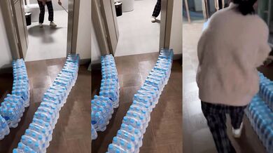 Jak dostat myš z domu