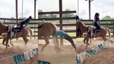 Unikátní trik s koněm