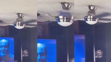 Had vs. stropní ventilátor