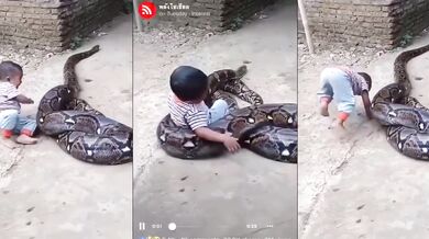 Dítě hrající si s obřím hadem