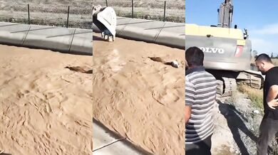 Záchrana topící se krávy