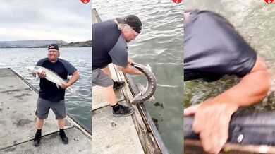 Chlubení se ulovenou rybou