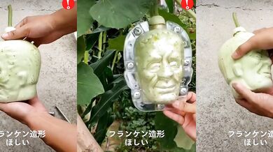 Dýně ve tvaru hlavy Frankensteina