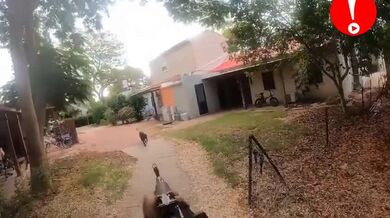 Hamás střílející domácí mazlíčky