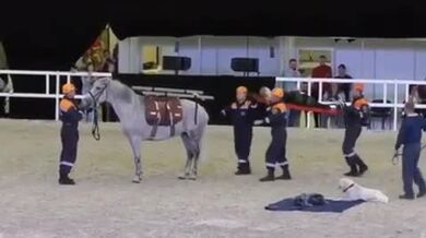 Přeprava zraněné osoby na koni