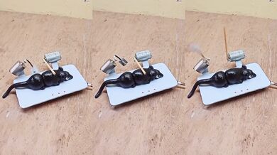 Originální past na myši