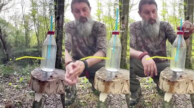 Chytrý kohoutek v přírodě