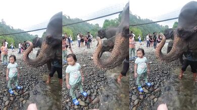 Osvěžující koupel od slona