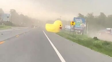 Nafukovací kachnička terorizující město