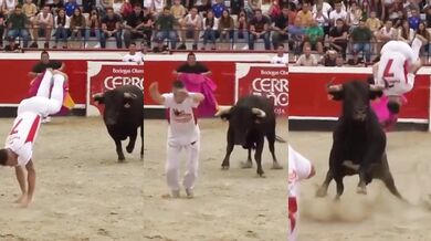 Salto vzad před zuřícím býkem