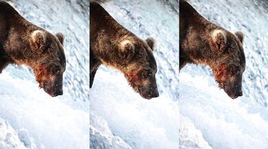 Když ti jídlo lítá rovnou do huby!