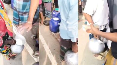 Testování kvality mléka