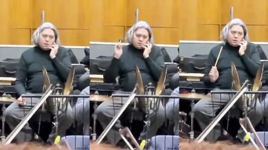 Profesionální muzikant v orchestru