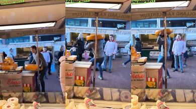 Pokus o zvednutí velkého bochníku sýra