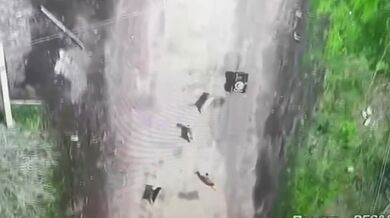 Psi pronásledují pozemního minový dron s TM-62 na palubě