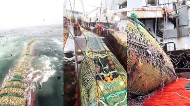 Ulovení 170 tun aljašské tresky najednou