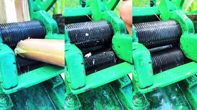 Extrakce šťávy z cukrové třtiny