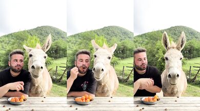 Společné svačení s oslíkem: Každý plive pecky po svém