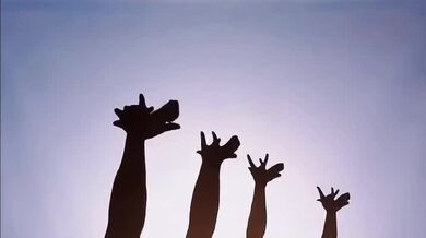 Zvířata z rukou – kouzlo stínového divadla