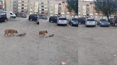 Kdo chce chytit koho?