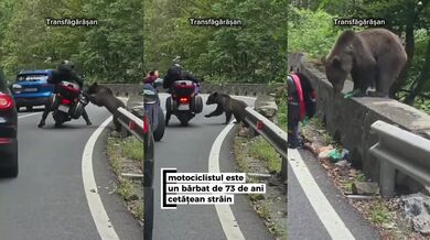 Motorkář napaden medvědem v Rumunsku