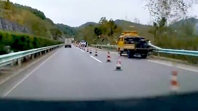 Řidič o fous unikl střetu s padajícím stromem