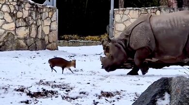 Trochu jiná váhová kategorie
