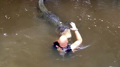 Pohrávání si s aligátorem