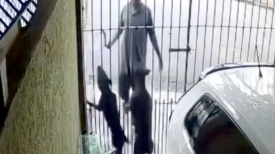 Pes pokousal muže, který se pokoušel větví odcizit předmět z cizího pozemku