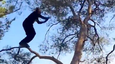Parkour v korunách stromů: Slavný francouzský atlet skáče v lese jako legendární Tarzan
