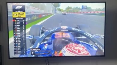 Psí fanoušek Formule 1: Husky u televizní obrazovky dokonale napodobil zvuk motoru monopostu Maxe Verstappena