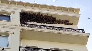 Balkon plný vlaštovčích hnízd
